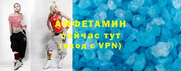 индика Богданович