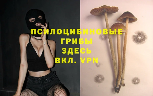 индика Богданович