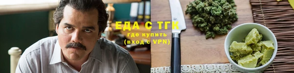 индика Богданович