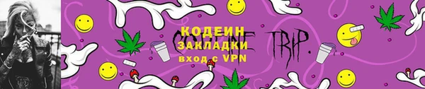 индика Богданович