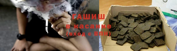 индика Богданович