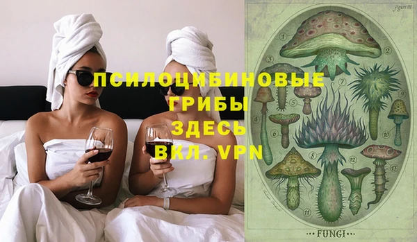 индика Богданович