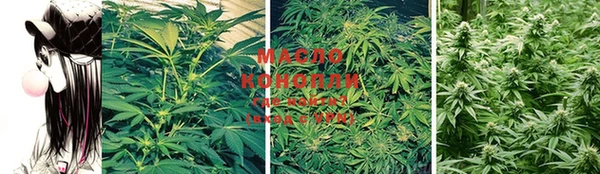 индика Богданович