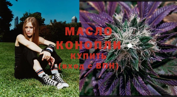 индика Богданович