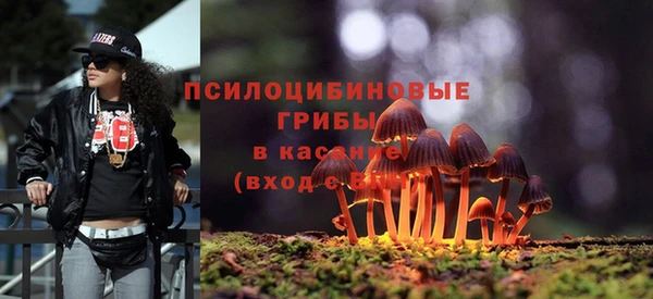 а пвп мука Бугульма